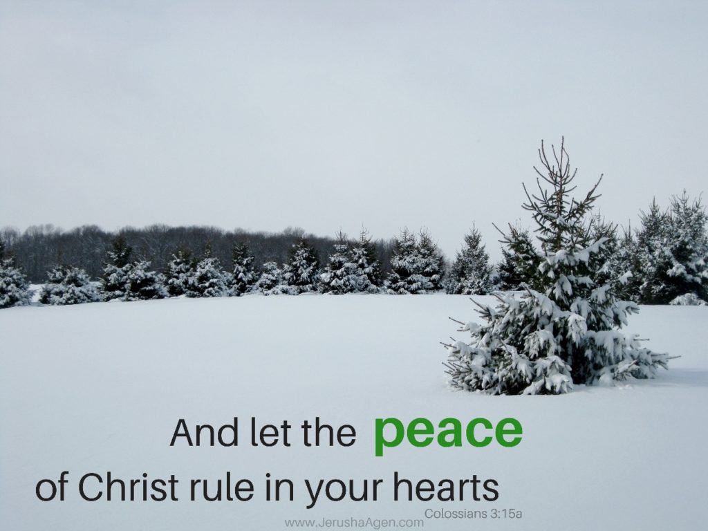 christmas-peace-colossians3-15-1280x960