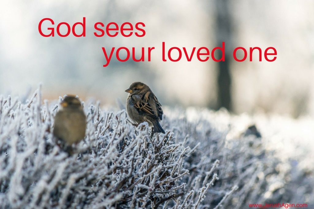 Sparrow-God-sees-loved-one-meme (1280x853)