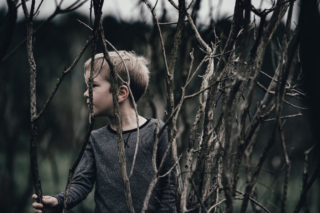 child-boy-in-twisted-branches (1280x852)