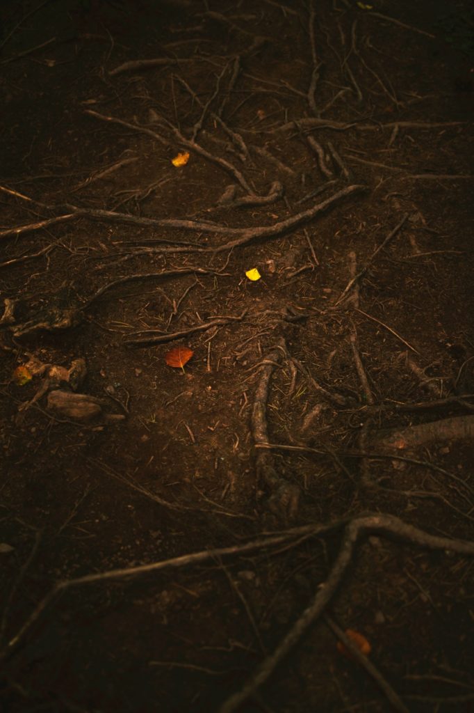 dirt-ground (853x1280)