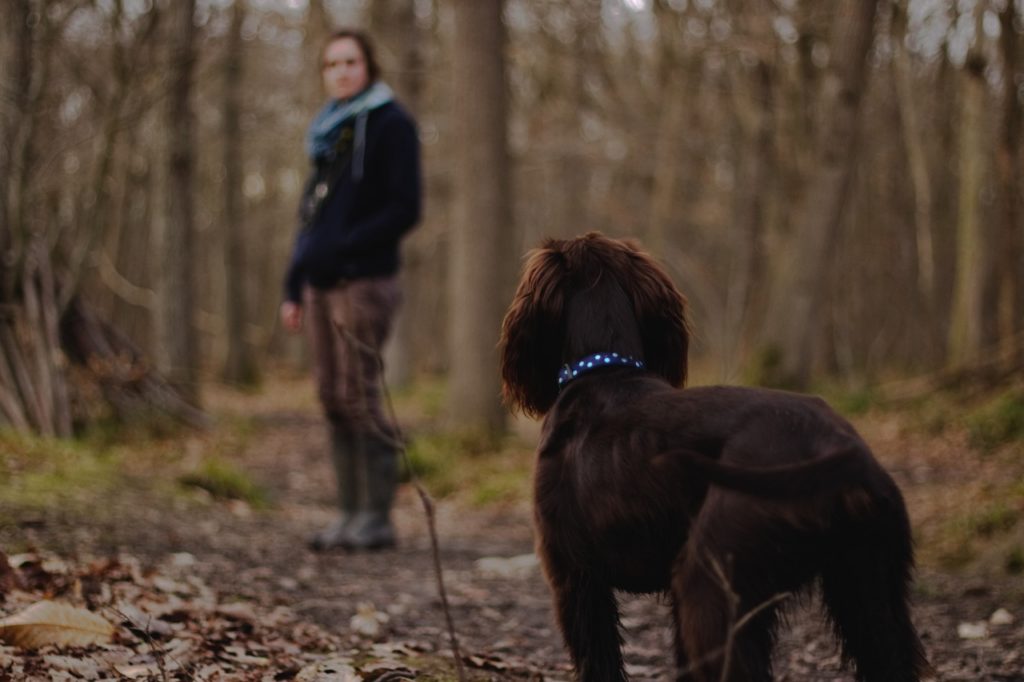 dog-and-woman-looking-back (1280x852)