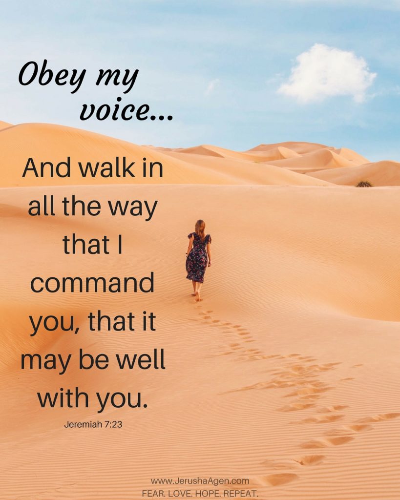 obey-my-voice-graphic(resize50percentJPG)