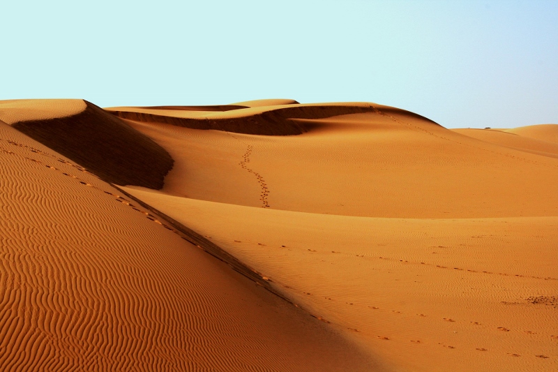 desert-sand (800x533)