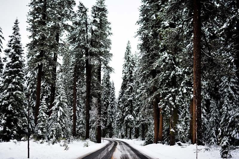 snowy-road-tracks (800x534)
