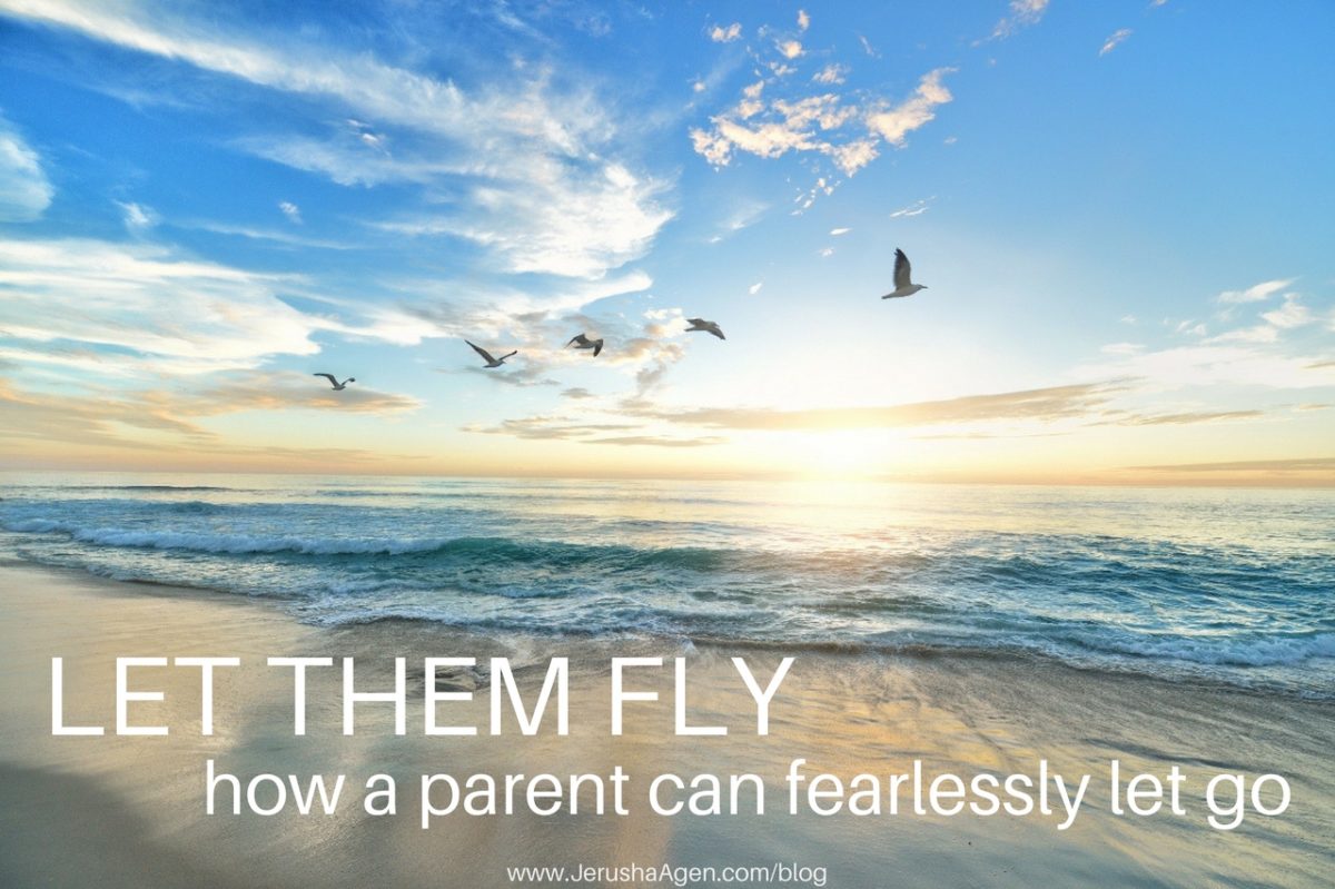 Let-Them-Fly-blog-title-graphic-1280x852-1200x799.jpg