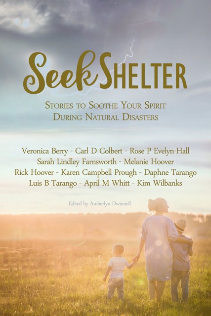 Cover image for book, Seek Shelter
