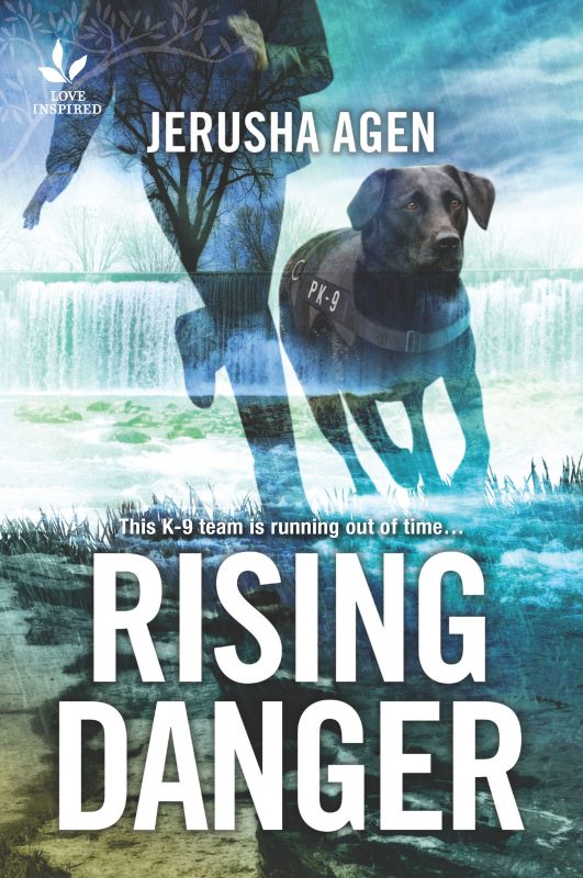 Rising Danger (Guardians Unleashed Prequel)